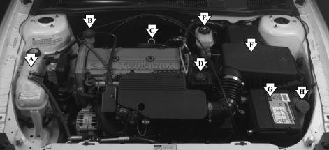 2.4L L4 (CODE T) Engine When you open the hood, you ll see: A. Engine Coolant Surge Tank B. Engine Oil Fill Cap C.