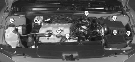 3400 V6 (CODE E) Engine When you open the hood, you ll see: A. Engine Coolant Surge Tank B. Power Steering Fluid Reservoir C.