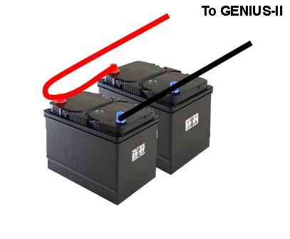 (AGM) and Gel batteries.
