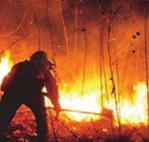 Monday April 20-21 09001700 Quality classes presented by Larry Weaver of Texas Wildfire Association Bring Gear for Hands on Training breakout session weather permitting.