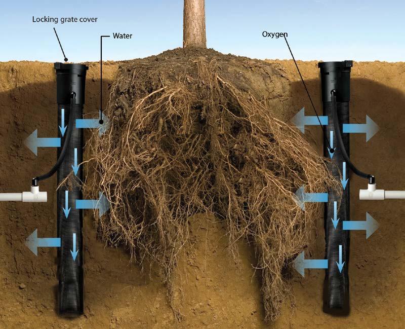 RWS (Root Watering System) (cont.) Dimensions Root Watering System: 4" (10.2 cm) diameter x 36" (91.4 cm) length Root Watering System Mini: 4" (10.2 cm) diameter x 18" (45.