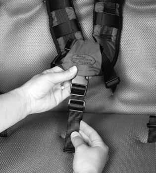 2 Rethread webbing strap through front of harness yoke