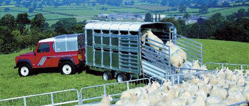 10 Trailer Range Livestock Trailers - Larger Models TA5 The TA5 range with 6 or 7 headroom is a substantial but narrow trailer, ideal for navigating rural tracks and lanes.