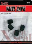 Plastic Valve Caps 15-4911 Metal Slot Head Valve