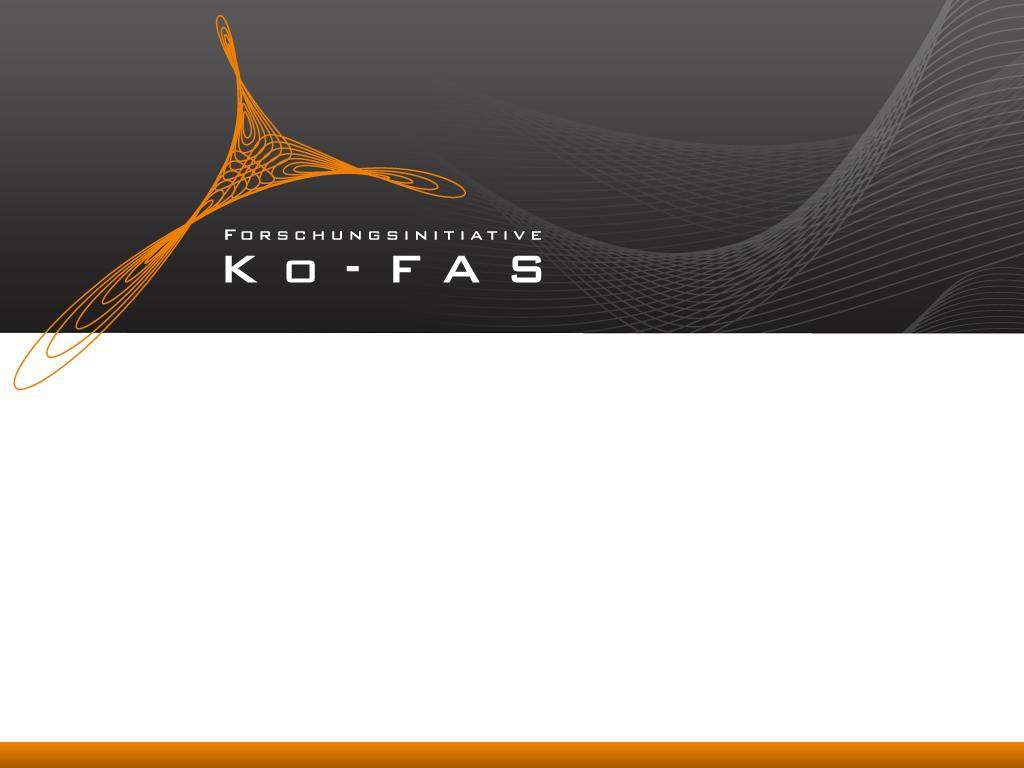 Forschungsinitiative Ko-FAS - Neue Wege in der Fahrzeugsicherheit Stephan