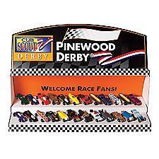 Pinewood Derby Photo Op (A great photo to add to the scrapbook!) $10.