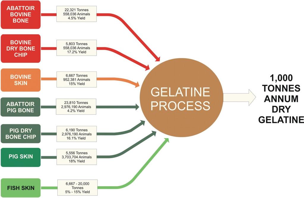COMPARATIVE YIELDS OF GELATIN