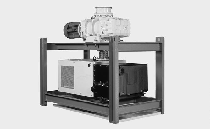 General Roots Vacuum Pumps The use of Roots vacuum pumps in the area of vacuum technology has resulted in further specializations and improvements: Through an integrated bypass (pressure equalization