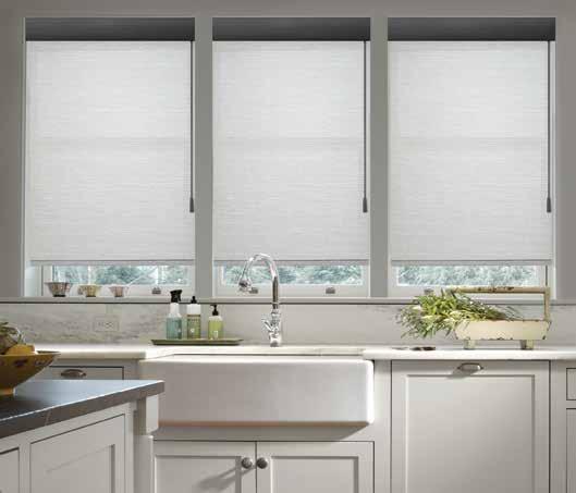 Envision Roller Shades with