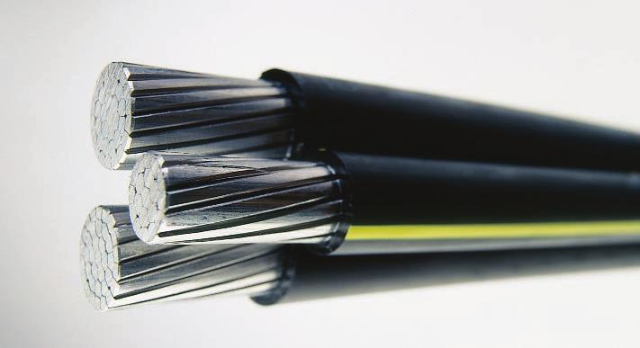 The neutral conductor is equal in size to, or two sizes smaller than the phase conductors.