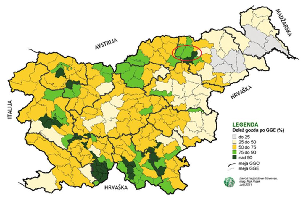 Delež lesne zaloge iglavcev je 46 %, in listavcev 54 %. V slovenskih gozdovih priraste letno 8.419.974 kubičnih metrov lesa ali 7,10 kubičnih metrov na hektar.