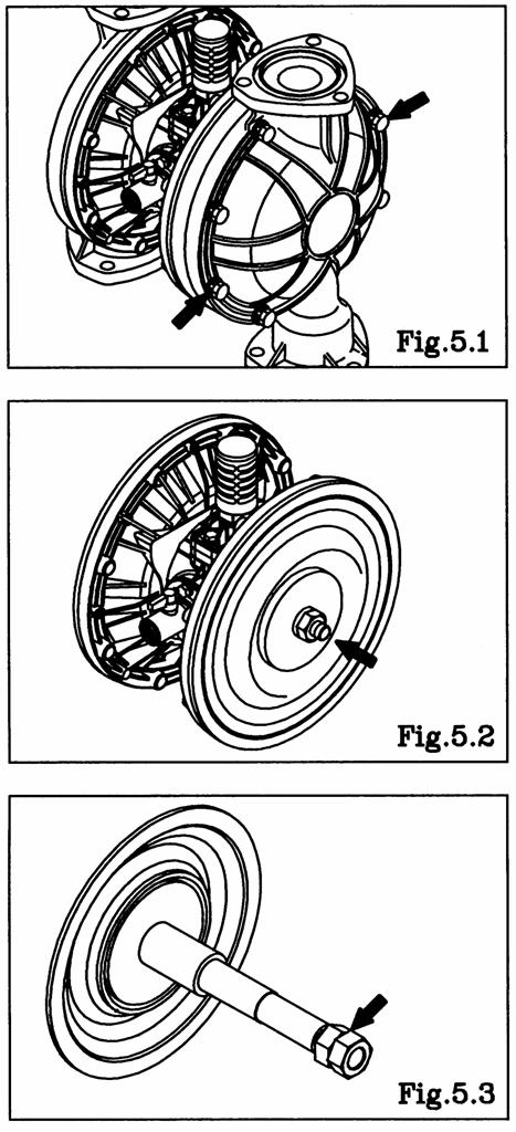 Then, remove the coned disk spring, center disk, diaphragm and center bushing on the same side. [Fig.5.