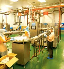 7. MM Vitaoils Sdn Bhd The acquisition of MM Vitaoils Sdn Bhd (MM Vitaoils) in 2005 has enabled Sindora to expand into food-based manufacturing business and take advantage from the growing demand for