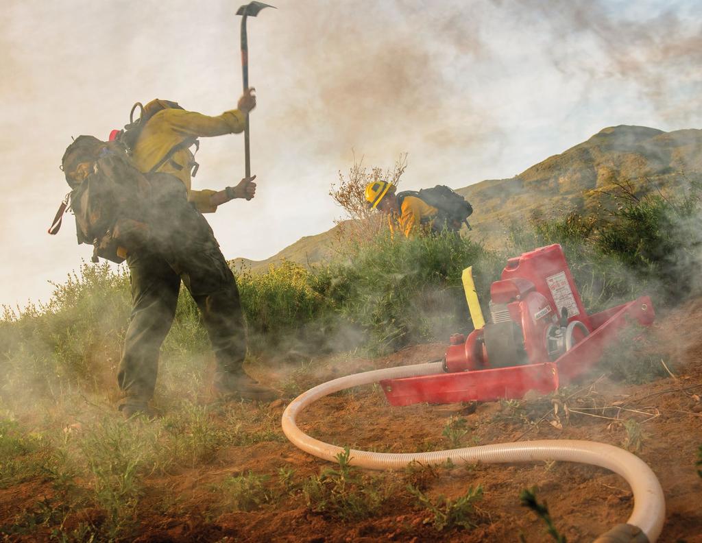 TRUSTED BY WILDLAND FIREFIGHTERS SINCE THE 1920 s MARK-3 The MARK-3 is known as the heart of the suppression system.