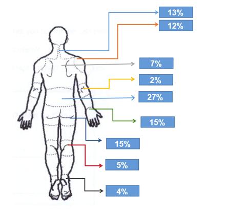 Figure 3: Musculoskeletal symptoms. riding, such as clothing [3], uncomfortable helmets, their focus, motorcycle condition, etc.