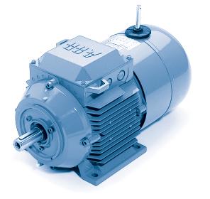 General Purpose Brake Motors Totally enclosed squirrel cage three phase low voltage motors, Sizes 63-180, 0.055 to 22 kw www.abb.