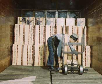 A worker loads crates of oranges into a reefer. You can see the ice through the grates in the bunker wall above the orange cases.