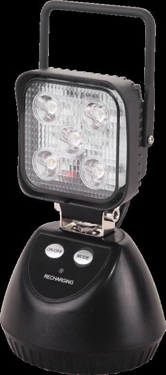 LW3030-MRS-5 Safety Light 1280 Lumens IP