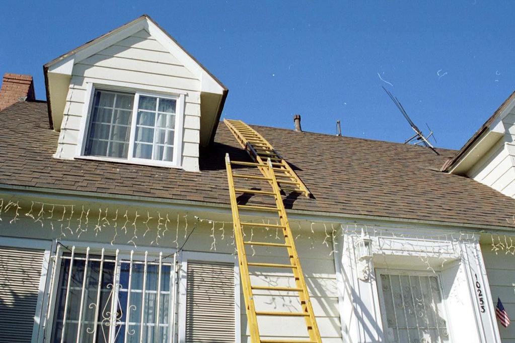 Ground/Roof Ladder