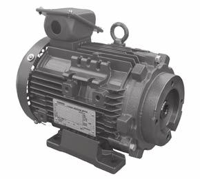 M Series Electric Motors R//3H series variable displacement piston pumps and PV2R series vane pumps can be installed directly to these electric motors. The power output range is from 0.75 to 18.5 kw.