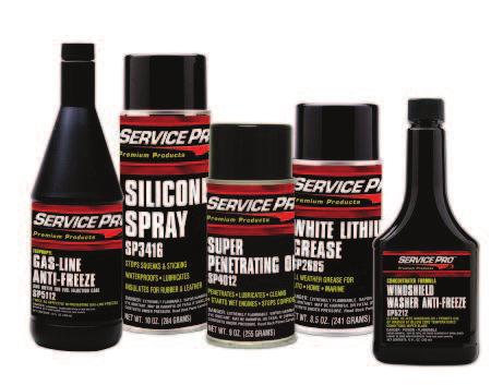 CHEMICALS Fuel System Maintenance Products Synthetic Fuel System Cleaner SP0386 12/12 oz.