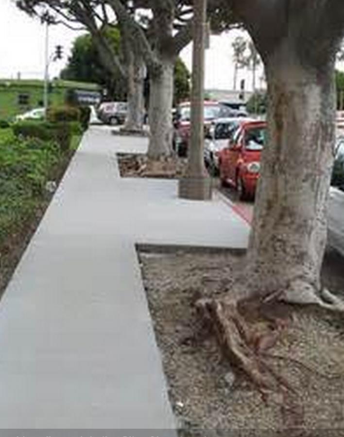 Sidewalks vs.