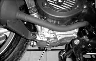 Remove the oil dipstick and check the oil level with the oil dipstick.