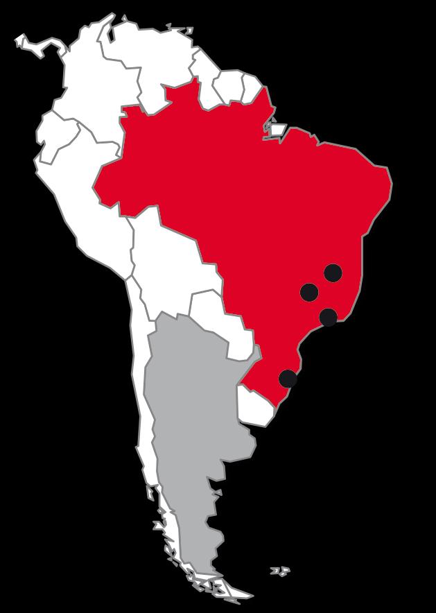 BRAZIL MARKET