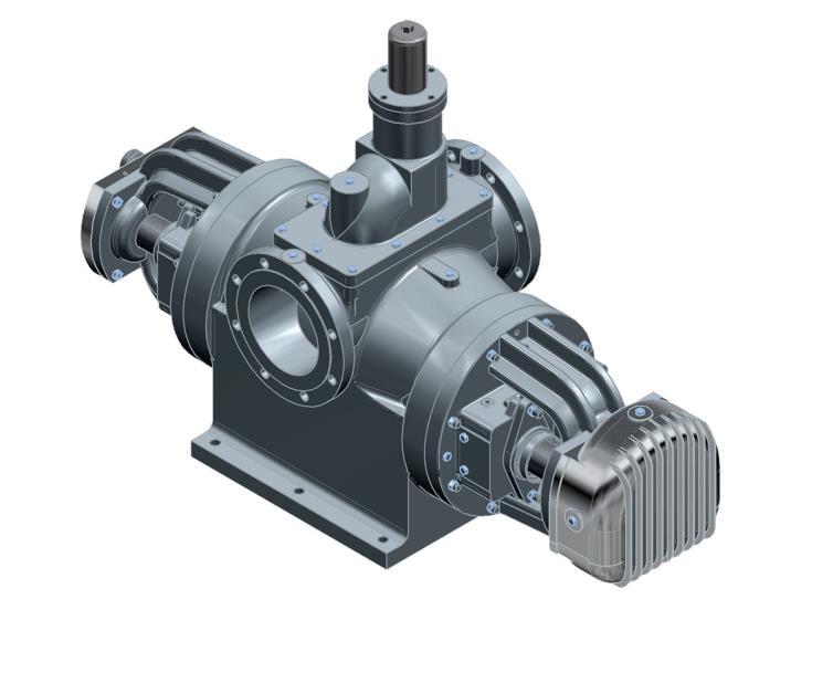 PERA-PRINZ TWIN SCREW PUMPS EXECUTIONS BY INSTALLATION: Horizontal Shaft (Side Top