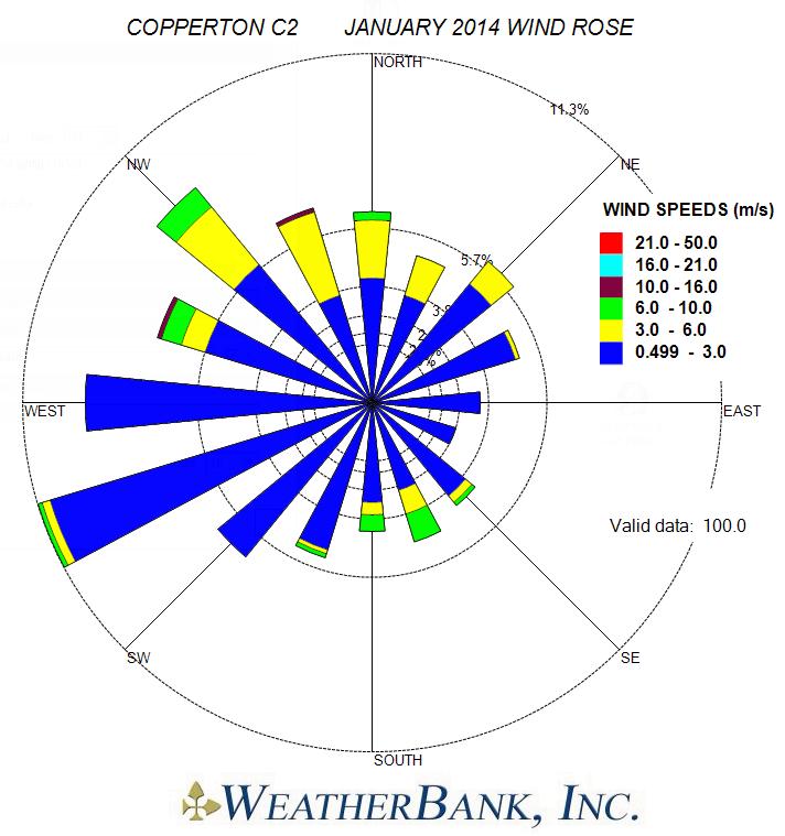 Figure 4 C2 Wind Rose for January 2014 First