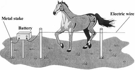 45 (a) The diagram shows an electric fence, designed to keep horses in a field.
