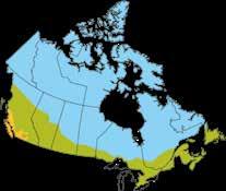 Energy Star zones for skylights Zone 1 Zone 2 Zone 3 Effective February 1, 2015 Energy Star ratings for Canada is divided into three climate zones (1, 2, and 3).