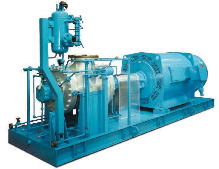 High Technology Pumps for the most demanding services CLYDEUNION Pumps specialises in the design and manufacture of API 610 centrifugal pumps and pumping packages.