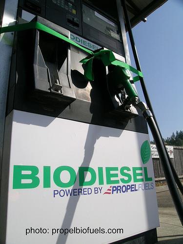 Bio-Diesel Many Bio-diesel plants shut down when the price