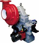 Fire Pumps CG Series Centrifugal Fire Pumps Installation Instructions IL3214 Table of Contents Safety Information... 2 Introduction.