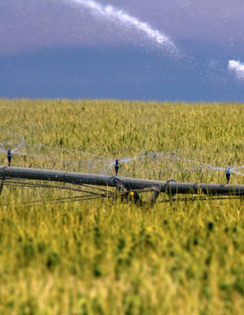PIVOT SPRINKLERS / up-top solutions catering to Crop specific needs Nelson Rotator Sprinkler Technology mounted on top of center pivots in strong corn-producing areas has generated excellent results