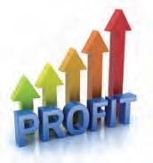5 Steps to Profit From 