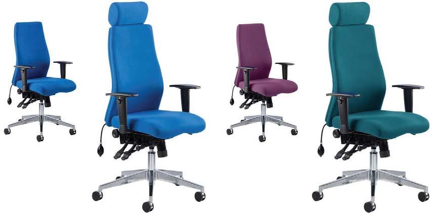 Onyx Blue Fabric Onyx Bespoke Fabric RRP 644 With Headrest 679 RRP 771 With Headrest 808 Multiple adjustments allow this chair to be adjusted for multiple users.
