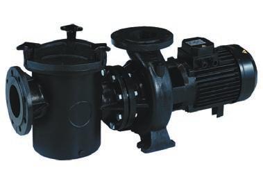 2 YEARS OF WARRANTY HCP 5000 SERIES High performance centrifugal pumps PUMPS High-performance centrifugal pumps J Easy to install J Pump casing and prefilter in cast iron GG-22, impeller in
