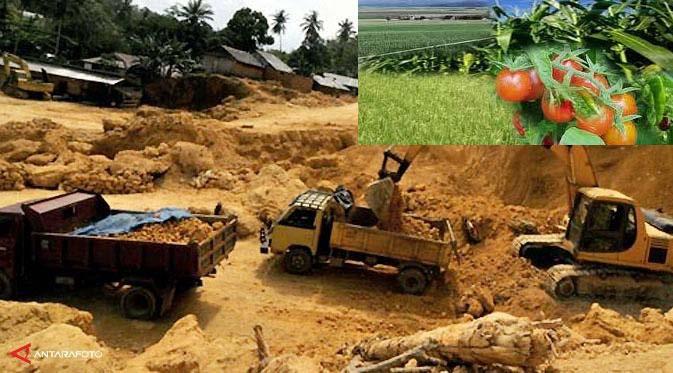 Economic Growth of Agricultural, Construction and Mining Sector Agricultural, construction and mining sector includes agricultural, fisheries, plantation and livestock, construction, mining, non-oil