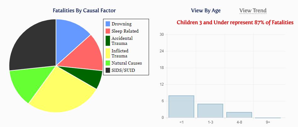 2016 Seminole County Fatalities by Causal Factor: 15 4 35 2 14 12 2 1 2 2 1 http://www.dcf.state.fl.