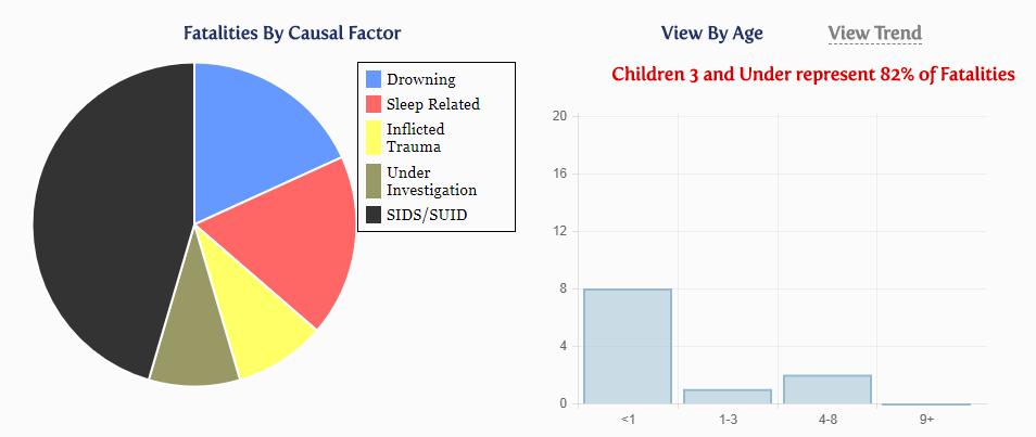 2017 Seminole County Fatalities by Causal Factor: 11 12 35 2 2 1 1 http://www.dcf.state.fl.
