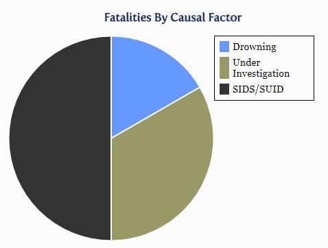 2018 Seminole County Fatalities by Causal Factor: 6 as of August 6, 2018 1 3 2 http://www.dcf.state.fl.