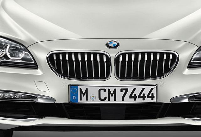 [ 10 ] Kidney grille with Chrome surrounds and