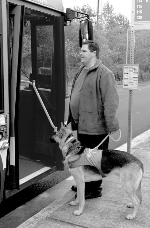 Animals Service animals necessary for travel by passengers with disabilities are allowed on all public transportation systems.