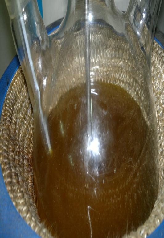 The mixture was then heated in a constant temperature bath for one hour with continuous stirring at 65 C. This esterified mixture was then transesterified.