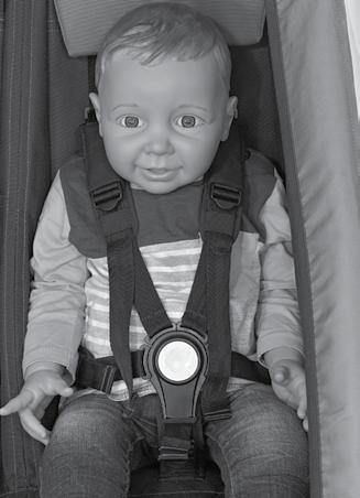 When using the Croozer to transport children who are not able to sit upright unassisted or babies under 6 months of age, you must use the original Croozer Baby Seat.