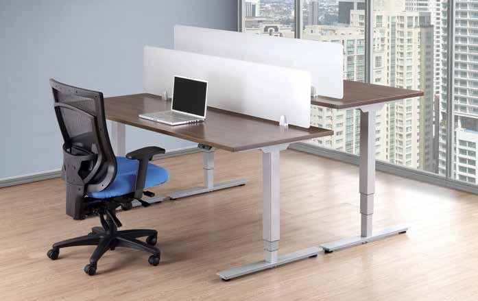 Desk Mounted Privacy Screens/Modesty Panels Panels Our Privacy Screens/Modesty Panels can be mounted