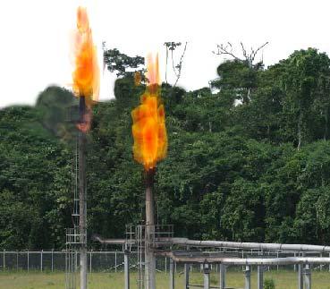 Economic Issues Project allows the use of 100% of flare gas for the steam cycle as thermal energy.