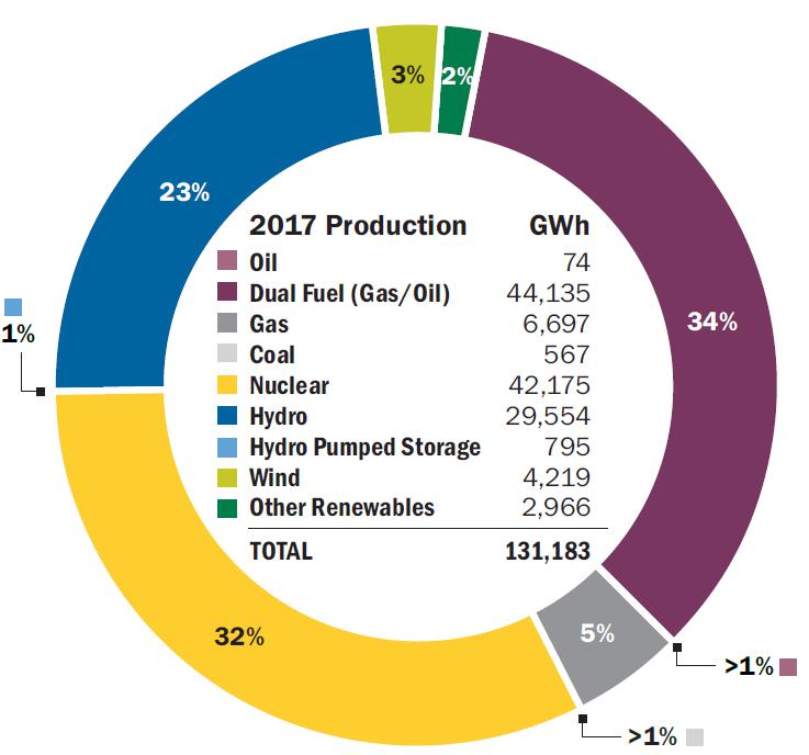 Statewide Energy Production by Fuel Source: 2017 *If Nuclear ran at full capacity